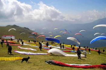 Chandigarh - Dharamshala - Palampur - Bir Billing - Dharamshala 5 Days Tour