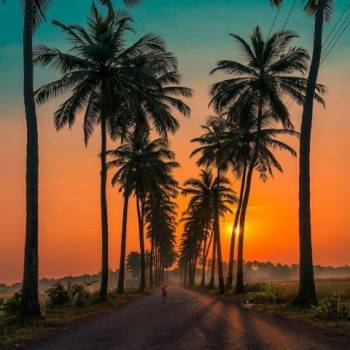 South Goa Tour Packages