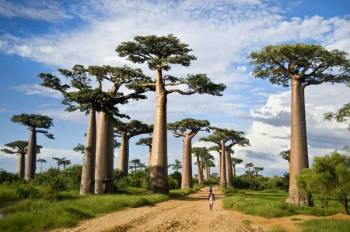 Ngorongoro Tour Packages
