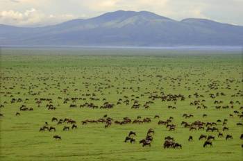 Manyara Tour Packages
