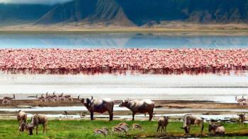 Manyara Tour Packages