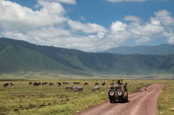 6 Day Tanzania Safari Tour Adventure-Tarangire-Lake Manyara-Serengeti-Ngorongoro Crater