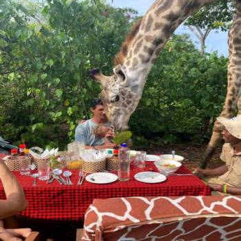 Ngorongoro Tour Packages