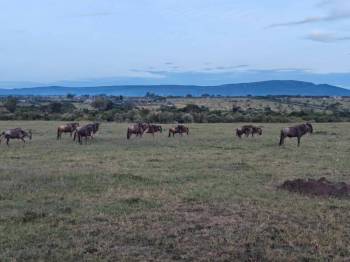 Manyara Tour Packages