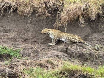 Ngorongoro Tour Packages
