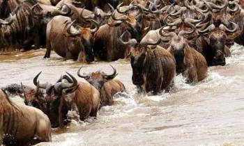 6 Days Wonderful Kenya Tour - Option 4