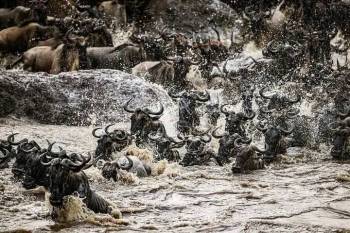 6 Days Wonderful Kenya Tour - Option 4