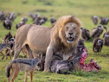 6 Days Wonderful Kenya Tour - Option 4