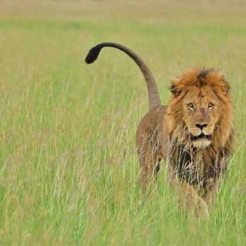 Samburu Tour Packages