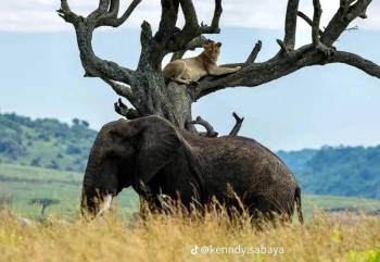Samburu Tour Packages