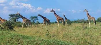 8 Days Kenya Exotic Safari Tour From Nairobi