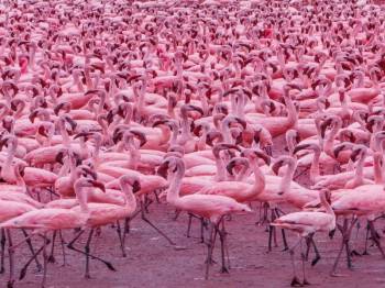 Samburu Tour Packages