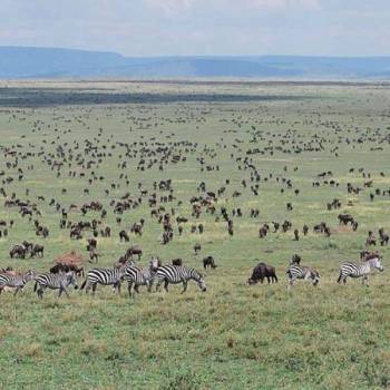 9 Days Kenya Safari Adventure Tour