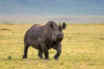 Samburu Tour Packages