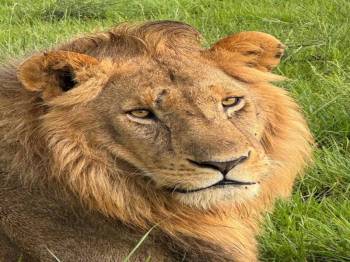 Samburu Tour Packages