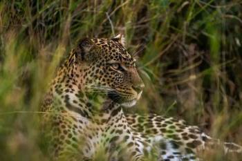 Samburu Tour Packages