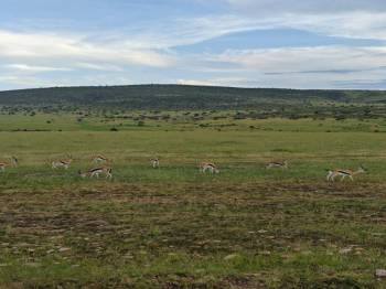 7 Days - 6 Nights Unforgettable Safari Tour