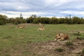 Samburu Tour Packages