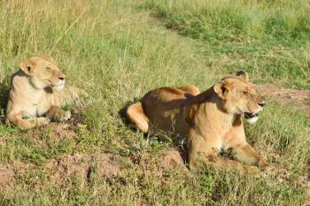Samburu Tour Packages