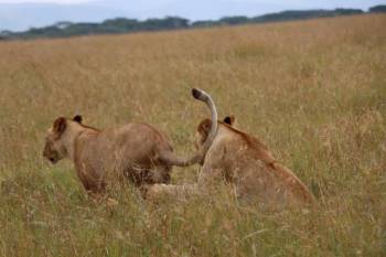 Samburu Tour Packages
