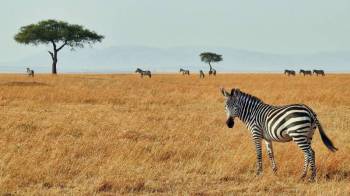 Samburu Tour Packages