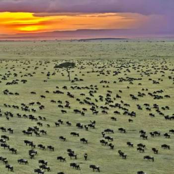 Lamu Island Tour Packages