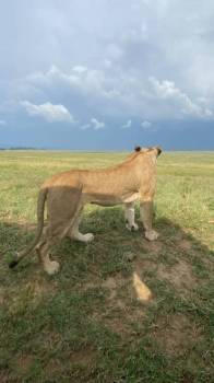 6 Days 5 Nights Wonderful Kenya Tour - Option 1