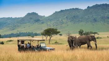 6 Days Unforgettable Safari Tour