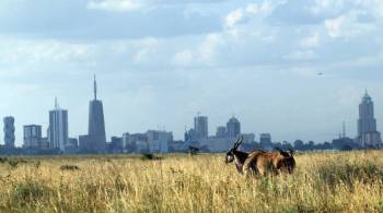 6D 5N Nairobi - Masai Mara - Nakuru And Amboselli Safari Package