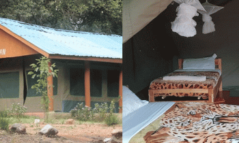4 Days Lake Naivasha And Masai Mara Safari Tour From Nairobi