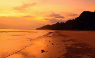 Neil Island Tour Packages