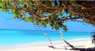 5 Night - 6 Day Andaman Solo Packages