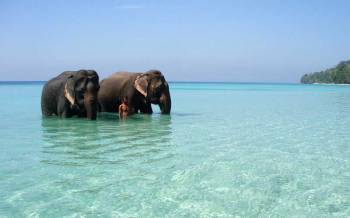 Havelock Tour Packages