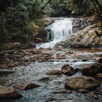 Thekkady Tour Packages