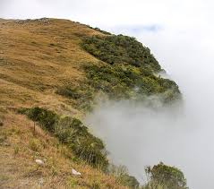 Masinagudi Tour Packages
