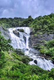 Masinagudi Tour Packages