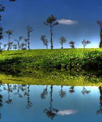 Masinagudi Tour Packages