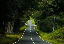 Masinagudi Tour Packages
