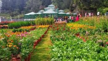 Mettupalayam Tour Packages