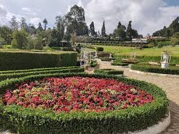 4 Nights & 5 Days Ooty Tour Package