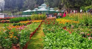 2 Nights 3 Days Hotel Package