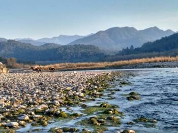 5-Day Nainital-Ramnagar-Jim Corbett Itinerary Tour