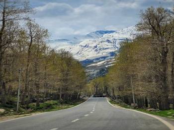 7 Days Scenic Himachal Tour Package