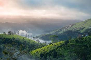 Kerala Tour — Detailed Itinerary