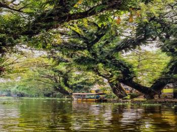 Kerala Tour — Detailed Itinerary