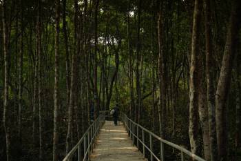 SUNDARBAN HILSA FESTIVAL 2 NIGHTS 3 DAYS TOUR