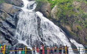 5 Nights/ 6 Days Mysore, Ooty and Coimbatore Package