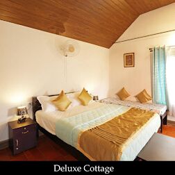 5 Nights 6 Days Mysuru - Coorg - Ooty Package