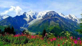 6 Days Valley Of Flower Trek Tour