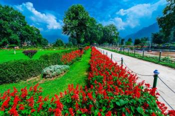 4 Nights and 5 Days Kashmir Tour Package